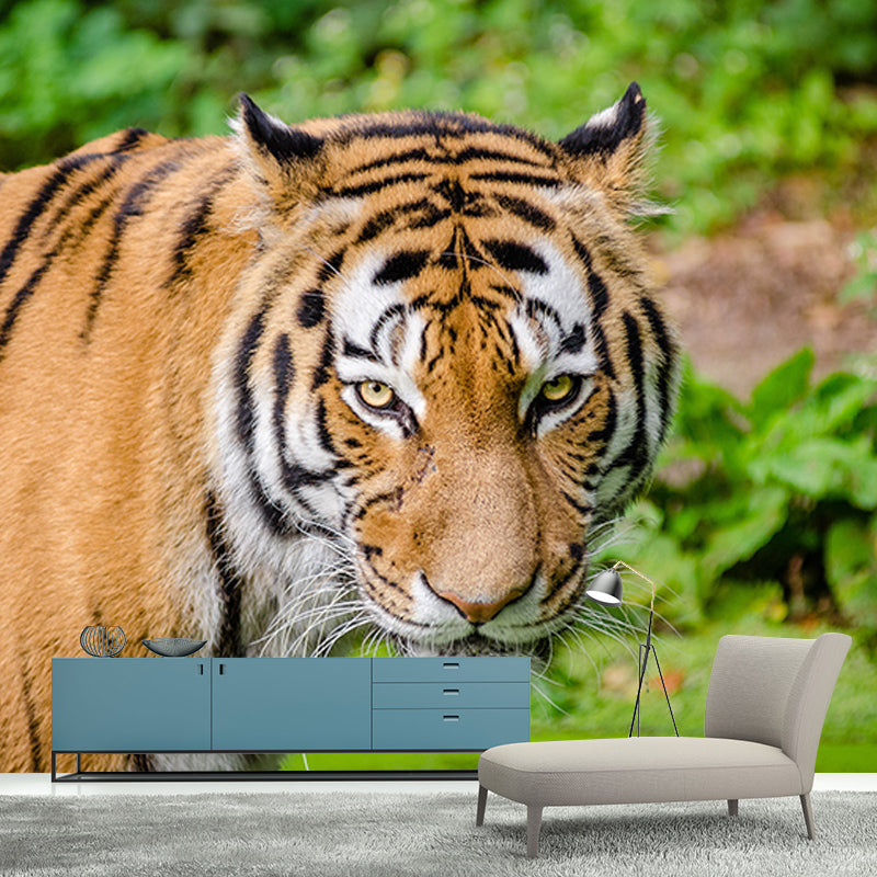 Forest Wildlife Wall Covering Moisture Resistant Mural Personalized Size