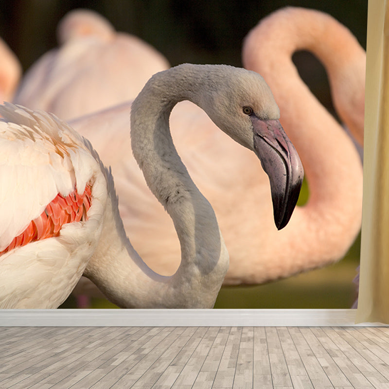 Flamingo Wall Mural Tropical Living Room Wall Covering, Personalized Size Available