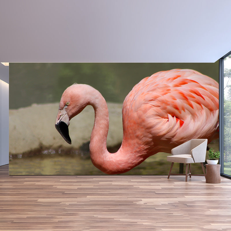 Flamingo Wall Mural Tropical Living Room Wall Covering, Personalized Size Available