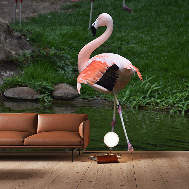 Flamingo Wall Mural for Sitting Room Water Resistant Wall Decor, Made to Measure