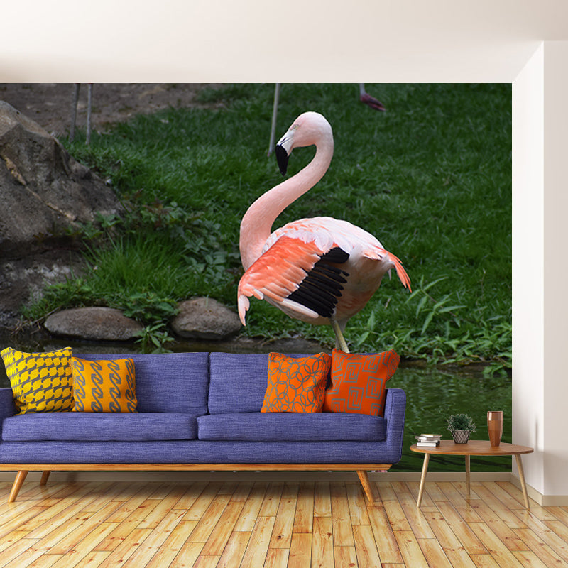 Flamingo Wall Mural for Sitting Room Water Resistant Wall Decor, Made to Measure