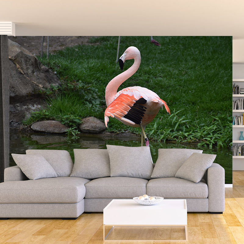Flamingo Wall Mural for Sitting Room Water Resistant Wall Decor, Made to Measure