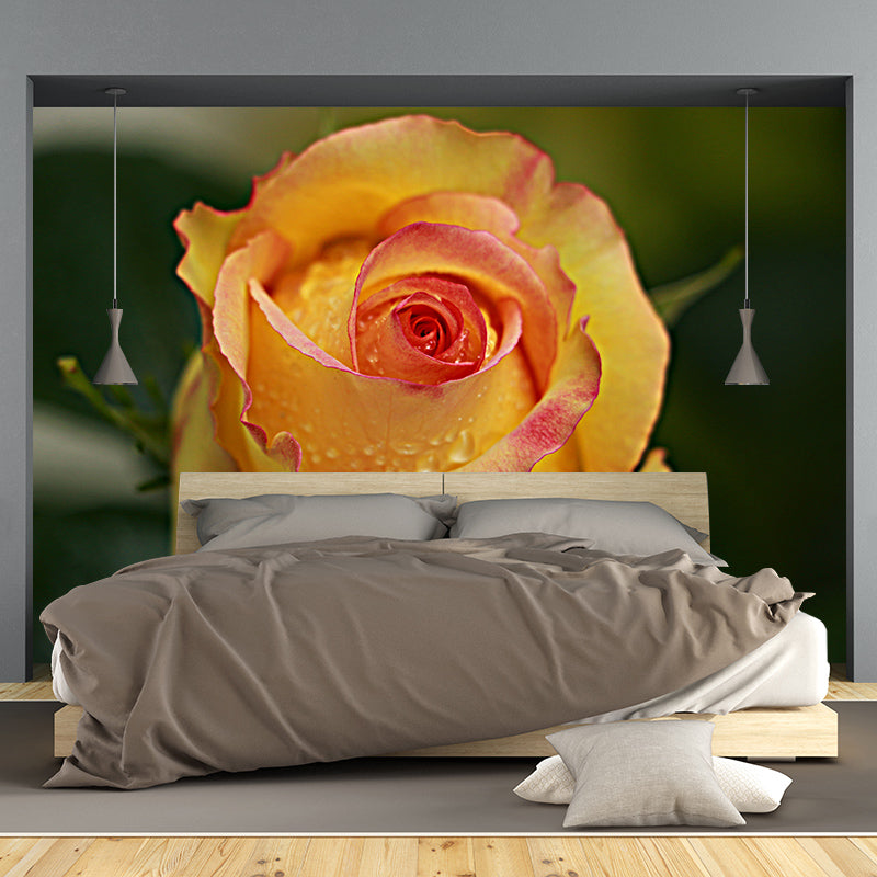 Elegant Rose Mural Wallpaper Washable Wall Covring for Girls' Bedroom Home Decor