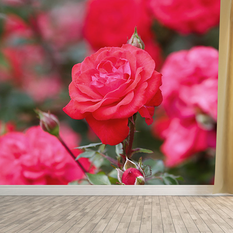 Elegant Rose Mural Wallpaper Washable Wall Covring for Girls' Bedroom Home Decor