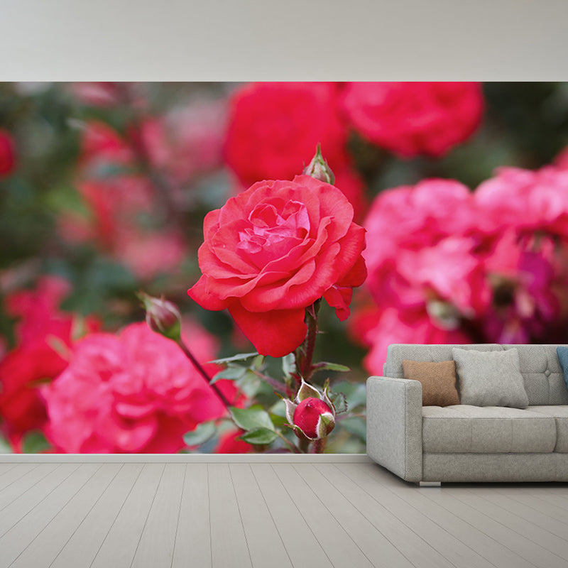 Elegant Rose Mural Wallpaper Washable Wall Covring for Girls' Bedroom Home Decor