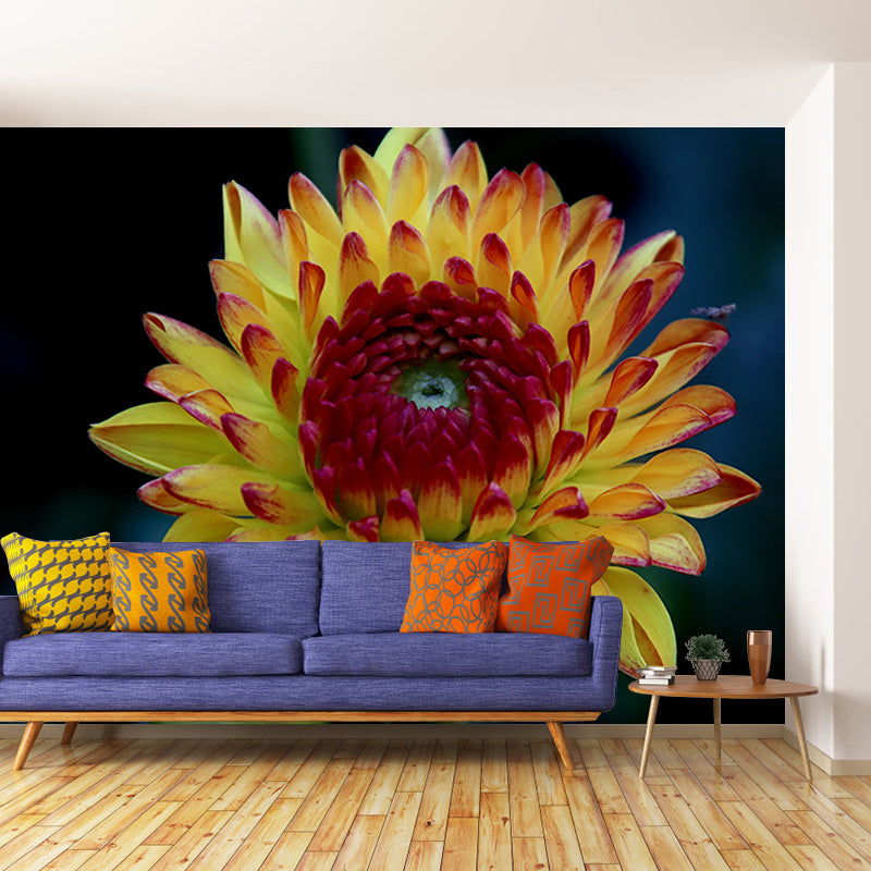 Modern Girls' Bedroom Wall Decor Blooming Flower Wall Covering, Moisture Resistant