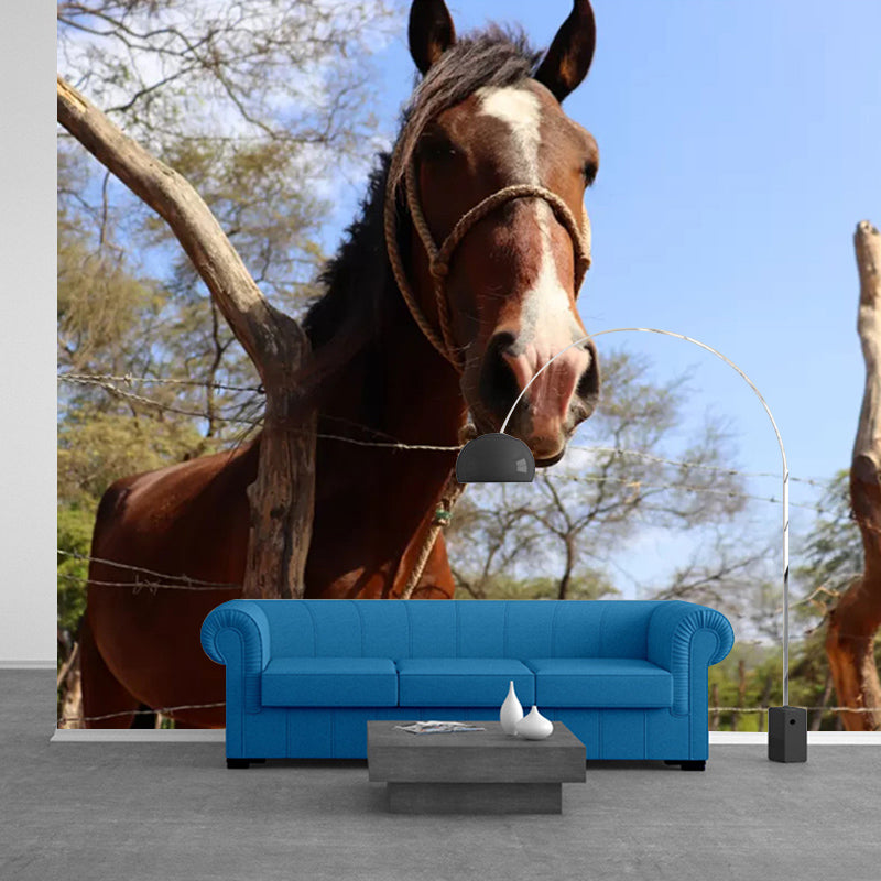 Horse Contemporary Wall Covering for Living Room Moisture Resistant, Made to Measure