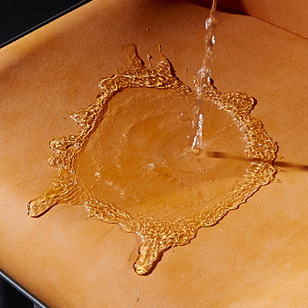 Modern Leather Dining Side Chair Indoor Wingback Chair with Black Legs