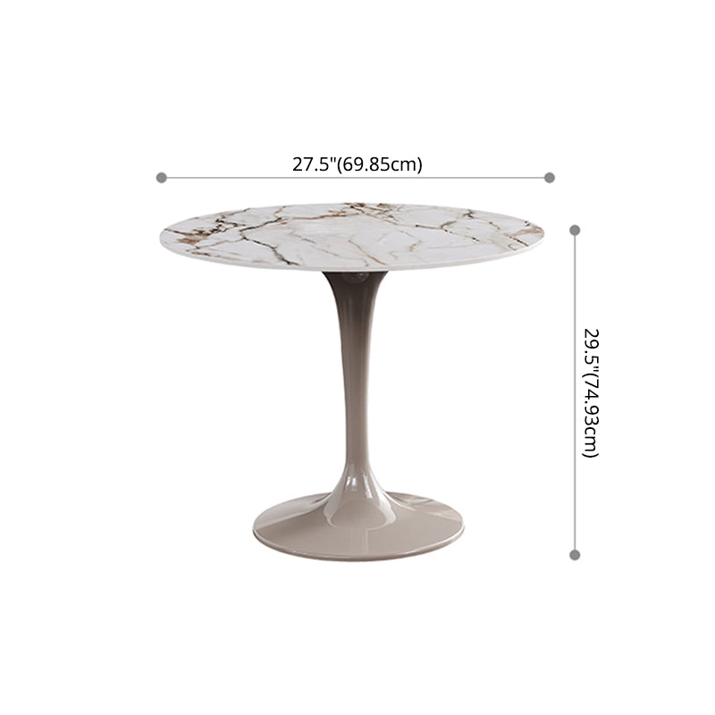 Sintered Stone Modern DiningRoomTableSet with Round Table and Pedestal Base Dinette Set