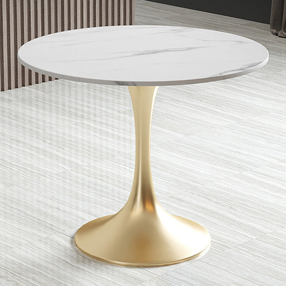 Glam Sintered Stone Dining Room Set with Gold Leg Dining Furniture for Home Use