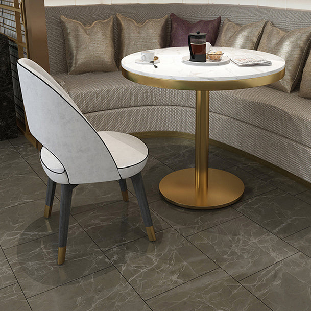 Nordic Sintered Stone Dining Room Set Standard Height with Pedestal Base Dining Furniture