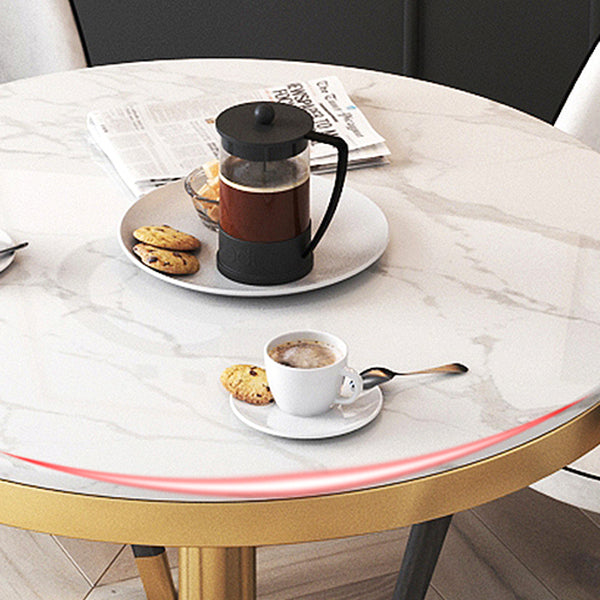 Nordic Sintered Stone Dining Room Set Standard Height with Pedestal Base Dining Furniture