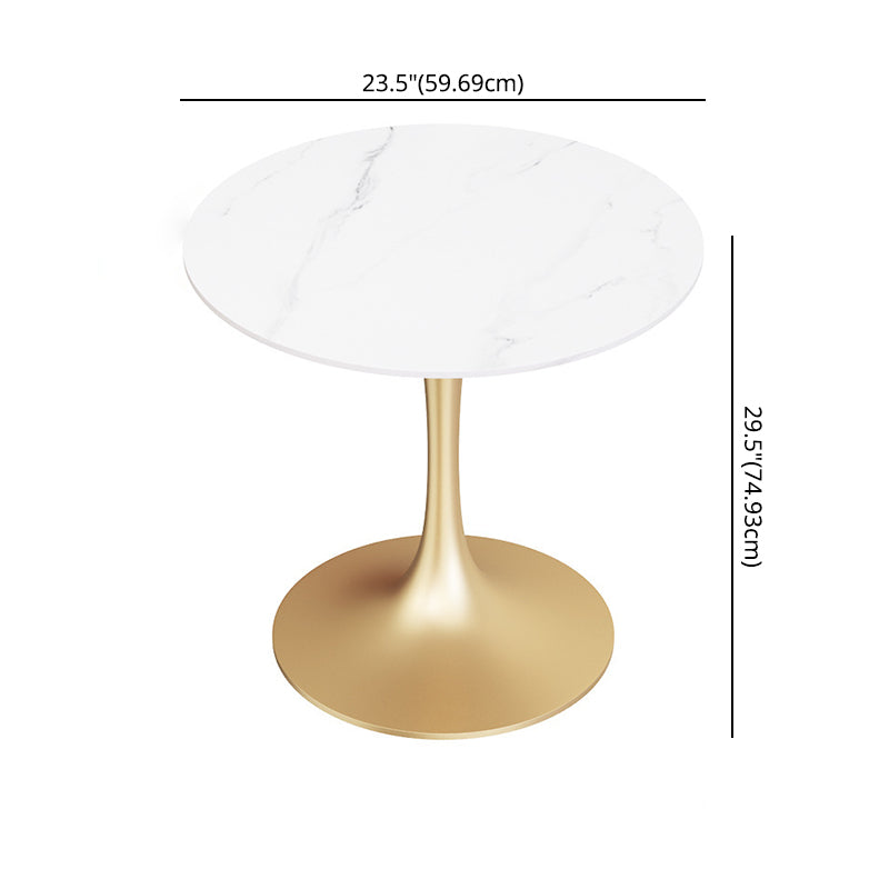 Glam Style Sintered Stone Dining Room Set Standard Height with Gold Base Dining Set