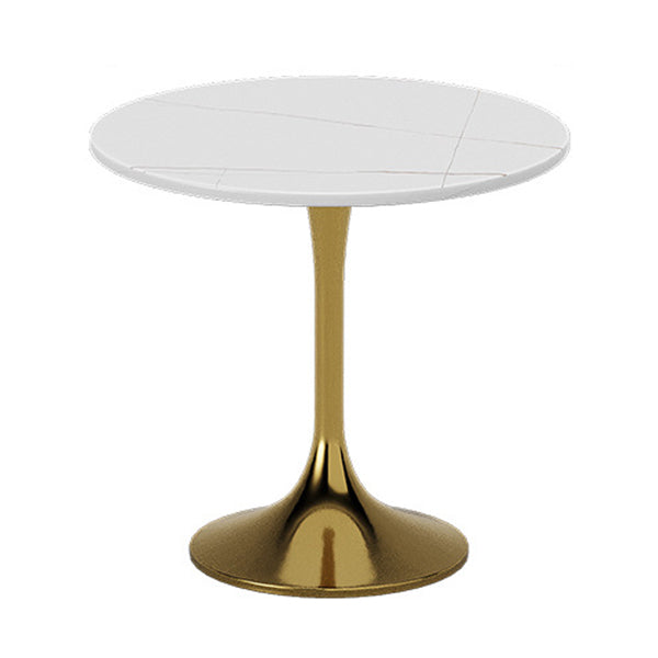 Glam Kitchen Dining Room Set Standard Height with Round Top and Gold Leg Dining Furniture