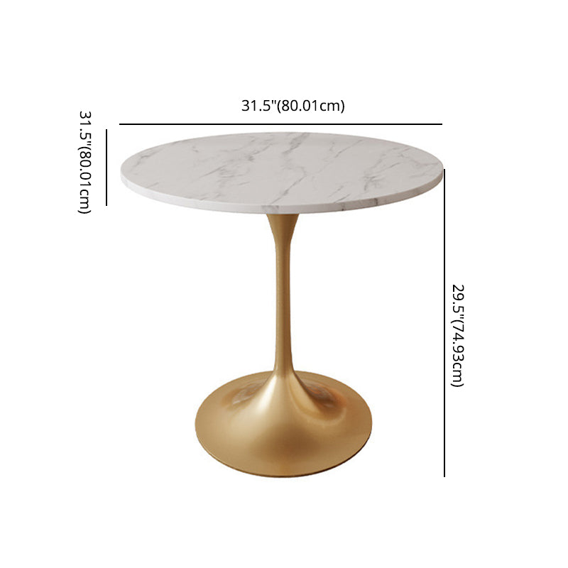 Glam Sintered Stone Dining Room Set Standard Height Metal Leg Dining Set with Round Table