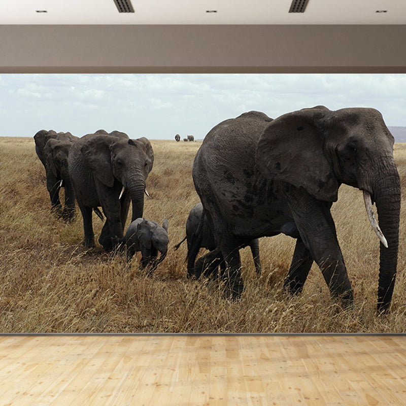 Contemporary Huge Elephant Mural Stain Resistant Wall Art for Living Room