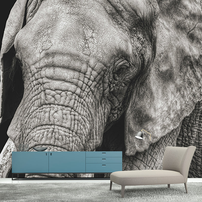 Contemporary Elephant Portrait Mural Stain Resistant Wall Art for Living Room