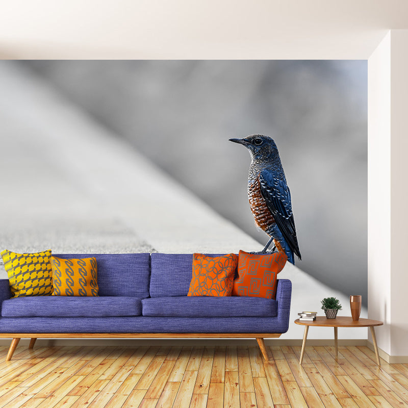 Blue-Rock-Thrush Wall Decor Mural Moisture Resistant Living Room Wall Covering