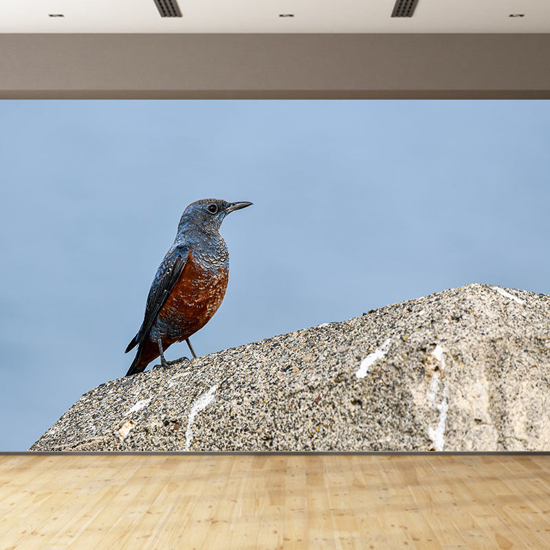 Blue-Rock-Thrush Wall Decor Mural Moisture Resistant Living Room Wall Covering
