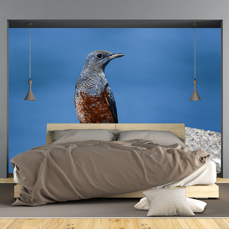 Blue-Rock-Thrush Wall Decor Mural Moisture Resistant Living Room Wall Covering