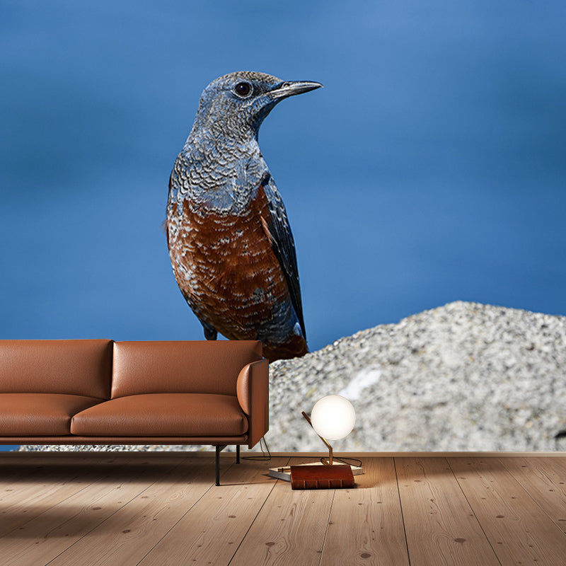 Blue-Rock-Thrush Wall Decor Mural Moisture Resistant Living Room Wall Covering