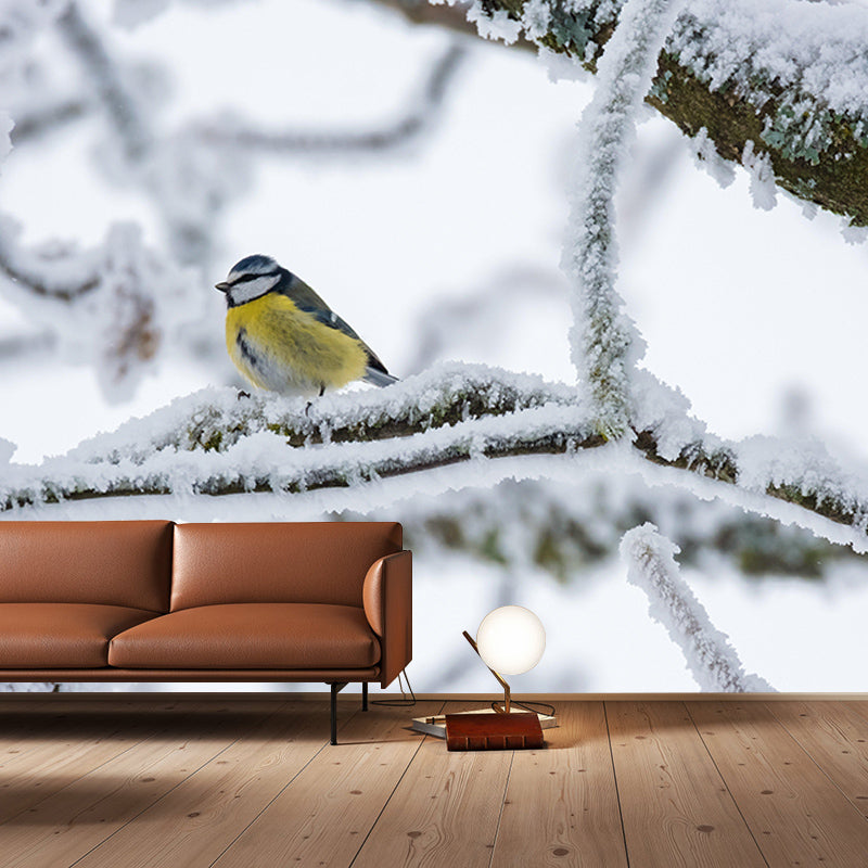 Lovely Blue-Tit Mural Wallpaper Photography Horizontal Wall Decor for Home