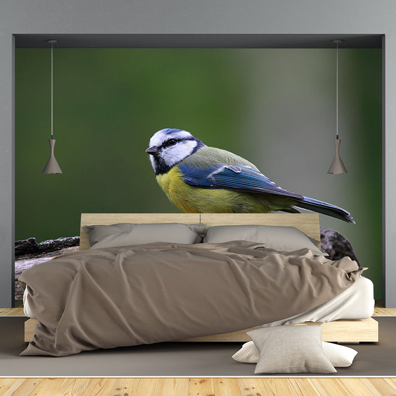 Lovely Blue-Tit Mural Wallpaper Photography Horizontal Wall Decor for Home
