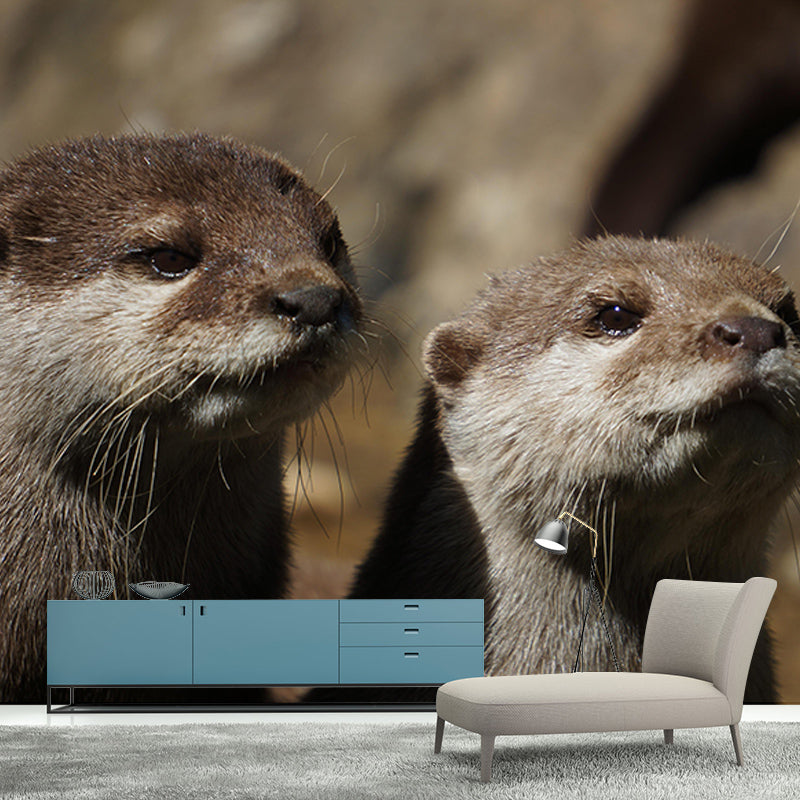 Lovely Otter Mural Wallpaper Photography Horizontal Wall Decor for Home