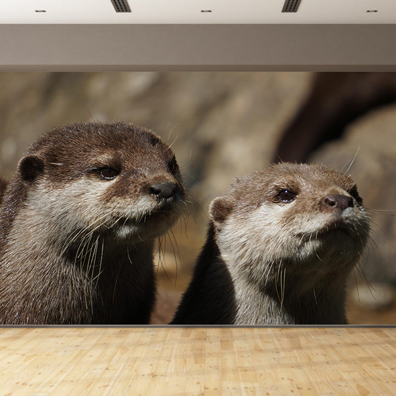 Lovely Otter Mural Wallpaper Photography Horizontal Wall Decor for Home