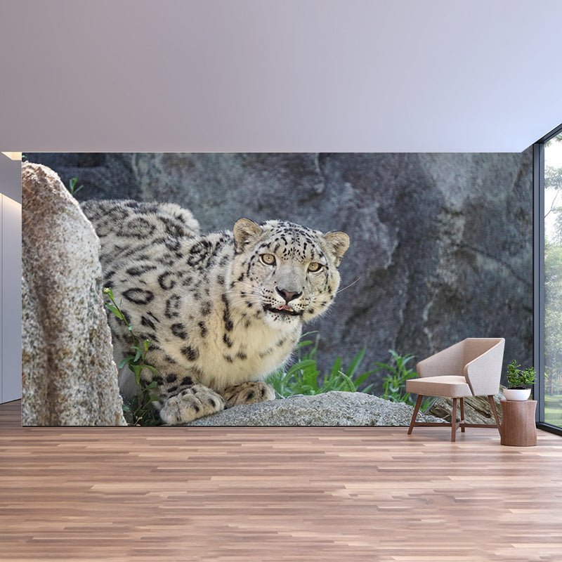 Customized Snow-Leopard Mural Stain Resistant Soft Color Wall Art for Bedroom