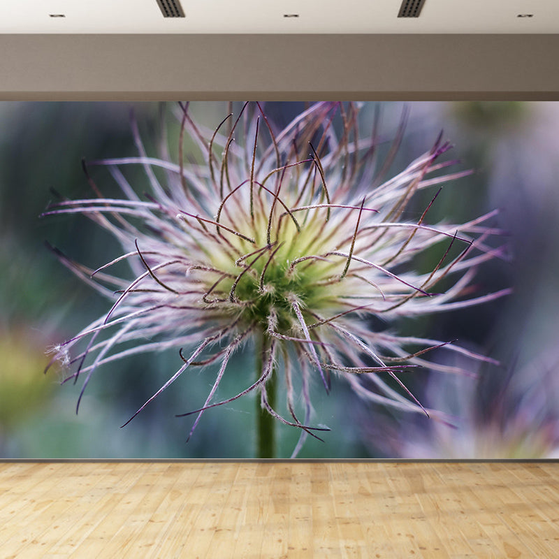 Pulsatilla Flower Wall Decor Mural Moisture Resistant Living Room Wall Covering