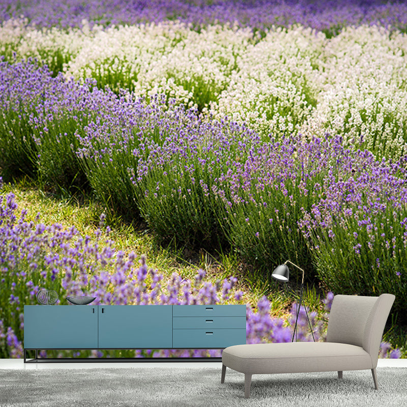 Beautiful Lavender Field Mural Wallpaper Photography Horizontal Wall Decor for Home