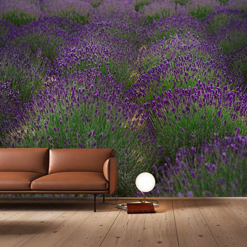 Beautiful Lavender Field Mural Wallpaper Photography Horizontal Wall Decor for Home