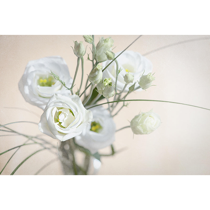 Lisianthus Flower Wall Decor Mural Moisture Resistant Living Room Wall Covering