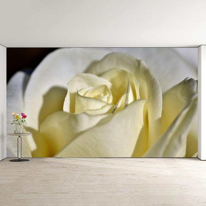 Beautiful Close-up of Rose Mural Wallpaper Photography Horizontal Wall Decor for Home