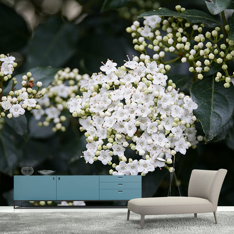 Viburnum Flower Wall Decor Mural Moisture Resistant Living Room Wall Covering
