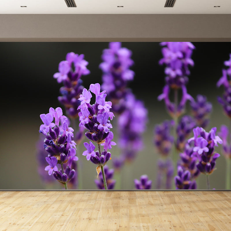 Contemporary Lavenders Mural Soft Color Stain Resistant Wall Art for Living Room