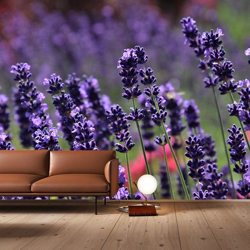 Contemporary Lavenders Mural Soft Color Stain Resistant Wall Art for Living Room