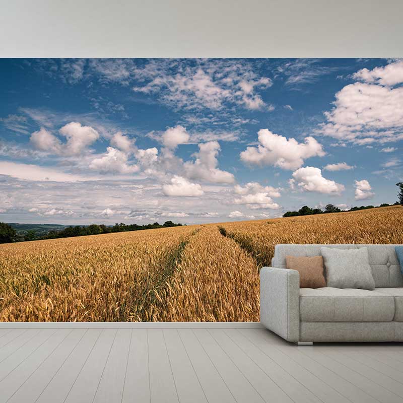 Wheat Field Mural Wallpaper Photography Horizontal Fabric Wall Decor for Home