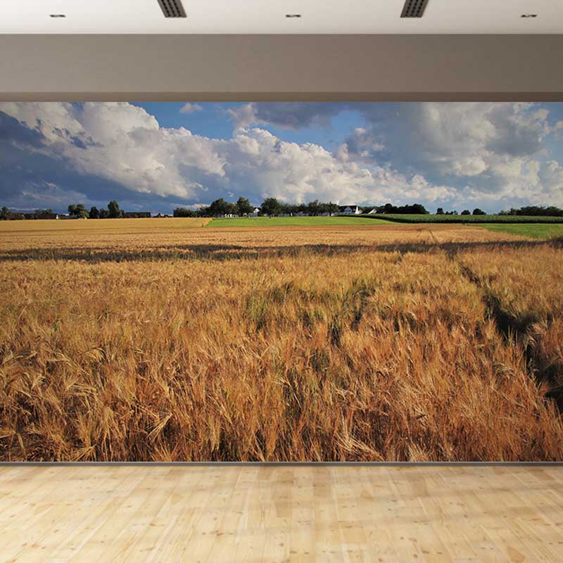 Wheat Field Mural Wallpaper Photography Horizontal Fabric Wall Decor for Home