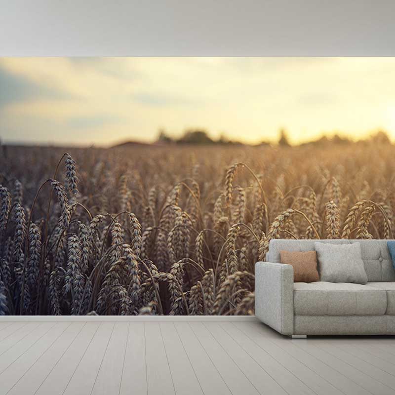 Customized Wheat Field Mural Stain Resistant with Plump Ears of Wheat Pattern for Dining Room