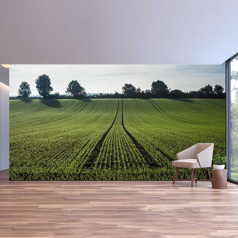 Customized Green Wheat Ears Mural Stain Resistant Wall Art for Dining Room