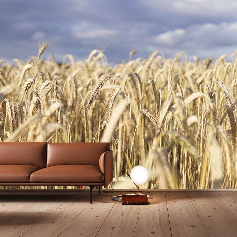 Wheat Field Mural Stain Resistant with Plump Ears of Wheat Pattern Wall Art for Dining Room