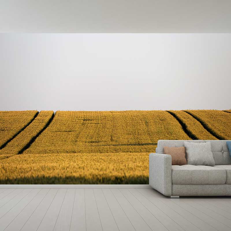 Contemporary Wheat Field Mural Bright Color Stain Resistant Wall Art for Dining Room