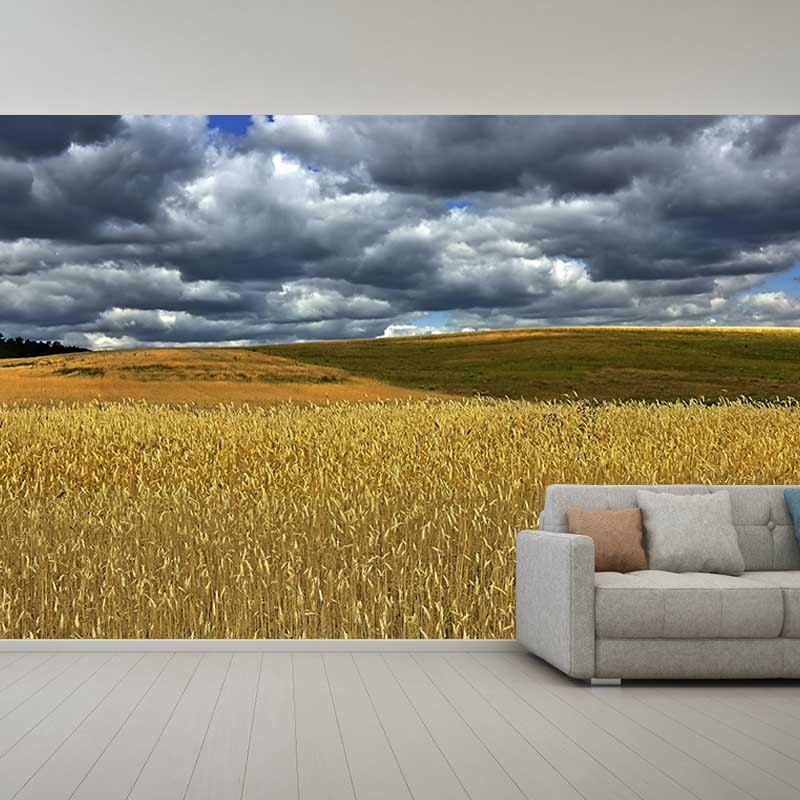 Contemporary Wheat Field Mural Bright Color Stain Resistant Wall Art for Dining Room