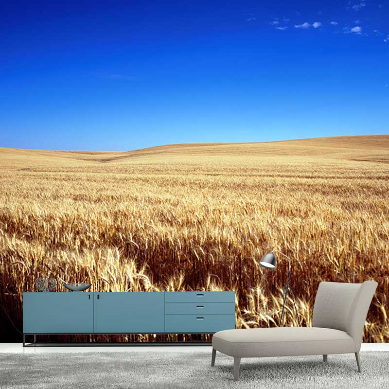Contemporary Wheat Field Mural Bright Color Stain Resistant Wall Art for Dining Room