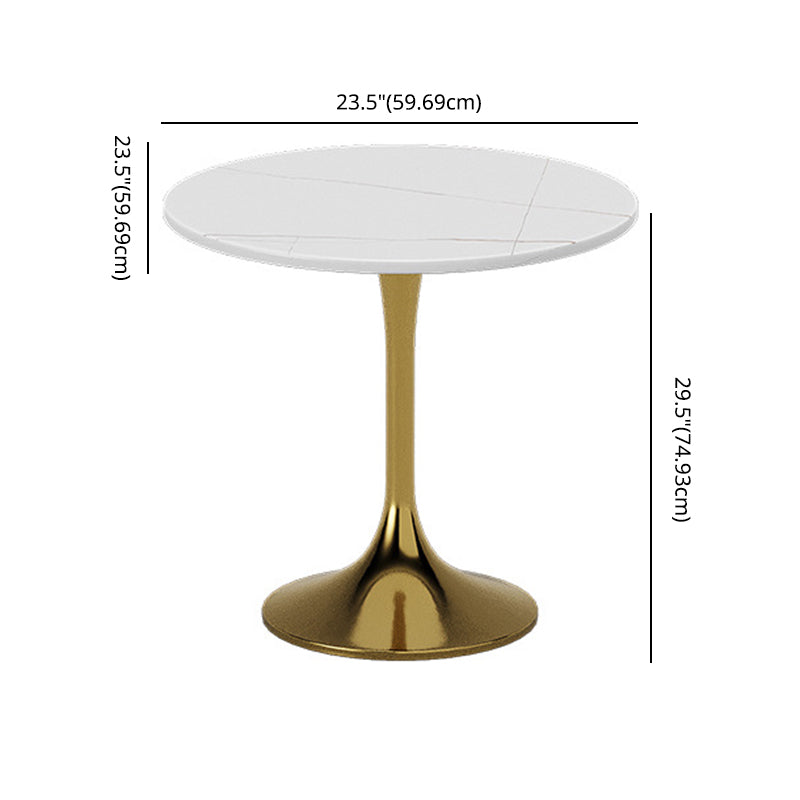Glam Sintered Stone Dining Room Set with Round Table Formal Dining Table Furniture