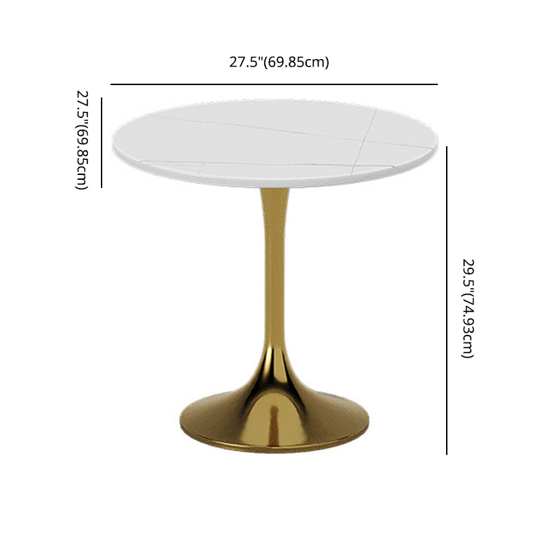 Glam Sintered Stone Dining Room Set with Round Table Formal Dining Table Furniture