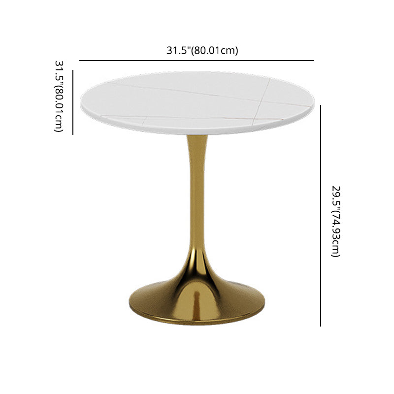 Glam Sintered Stone Dining Room Set with Round Table Formal Dining Table Furniture