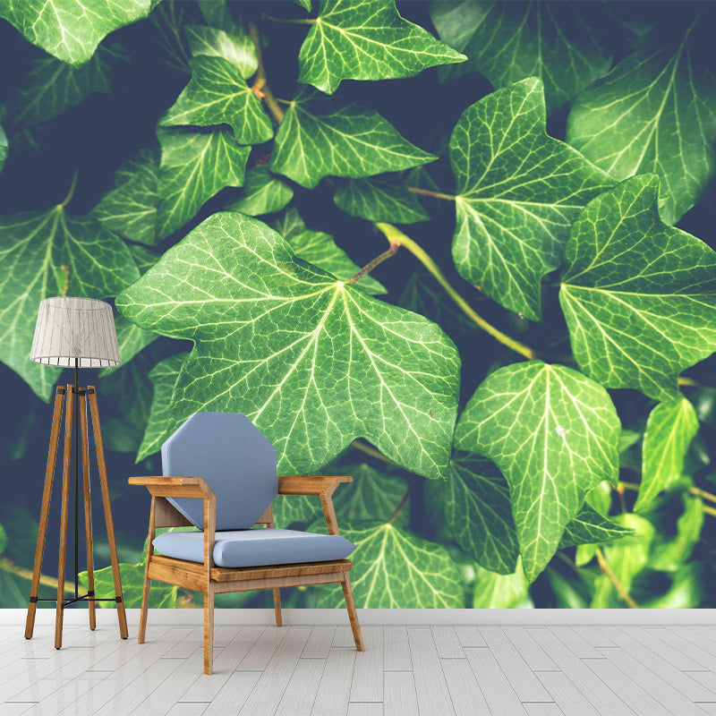 Ivy Leaf Wall Murals Contemporary Style Moisture Resistant Wall Covering